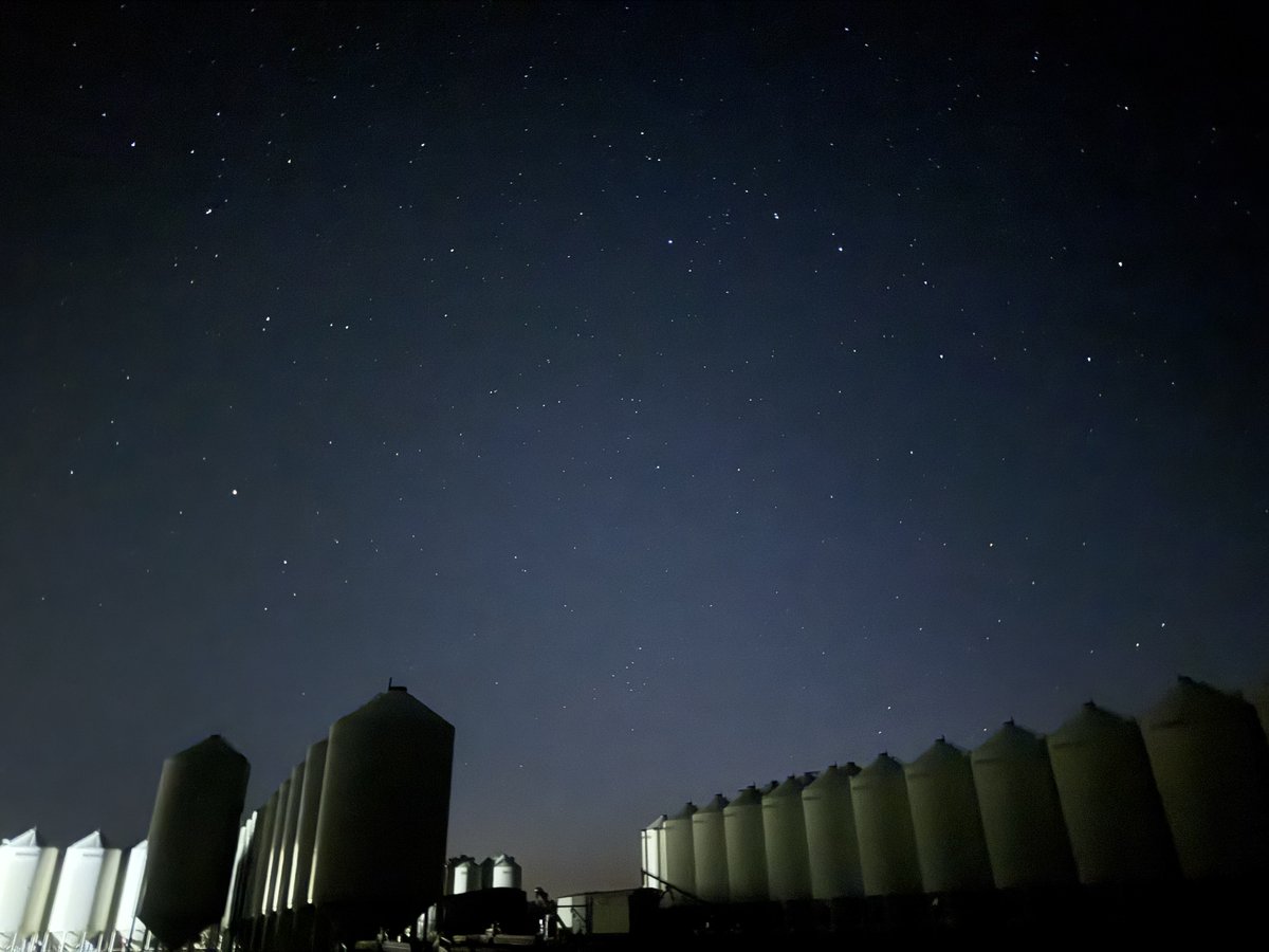 Chelsea and Shane tweet media