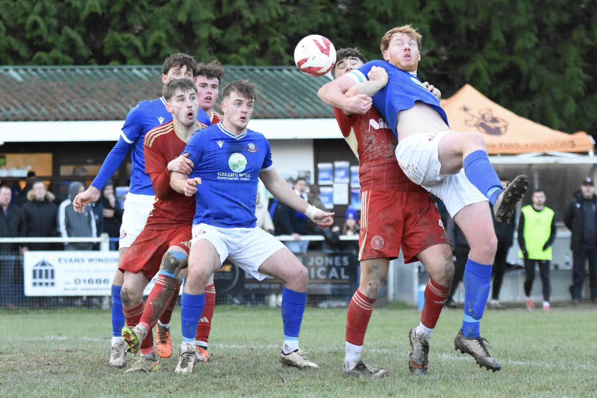 Tim Evans tweet media