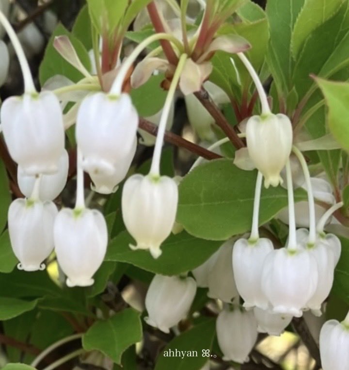 あっひゃん (@gp8U5FmBvzYtiHp) / Posts / X