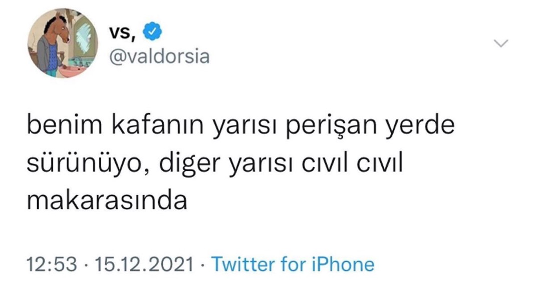 Alnı Öpülesi Tivitler (@alniopulesitivt) on Twitter photo 