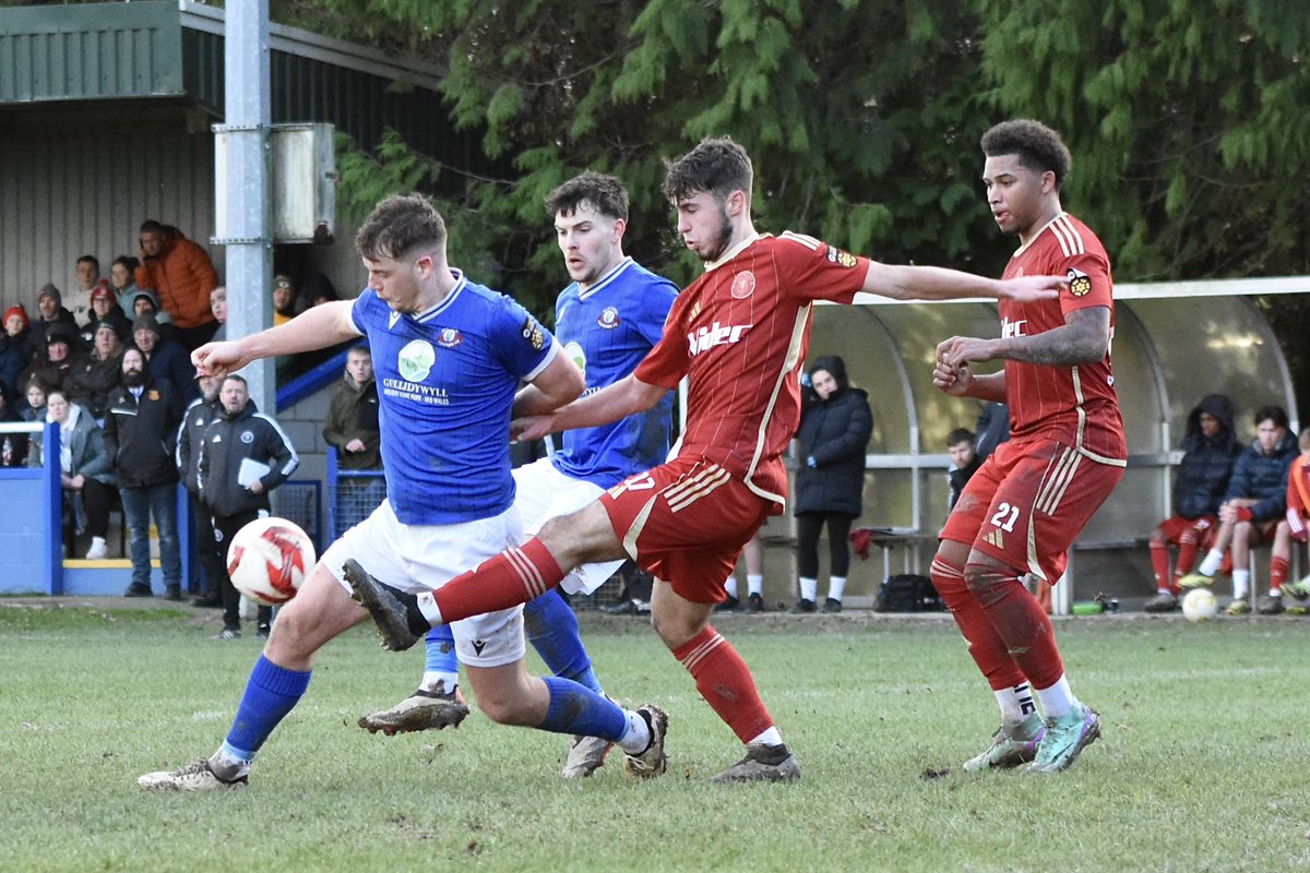 Tim Evans tweet media