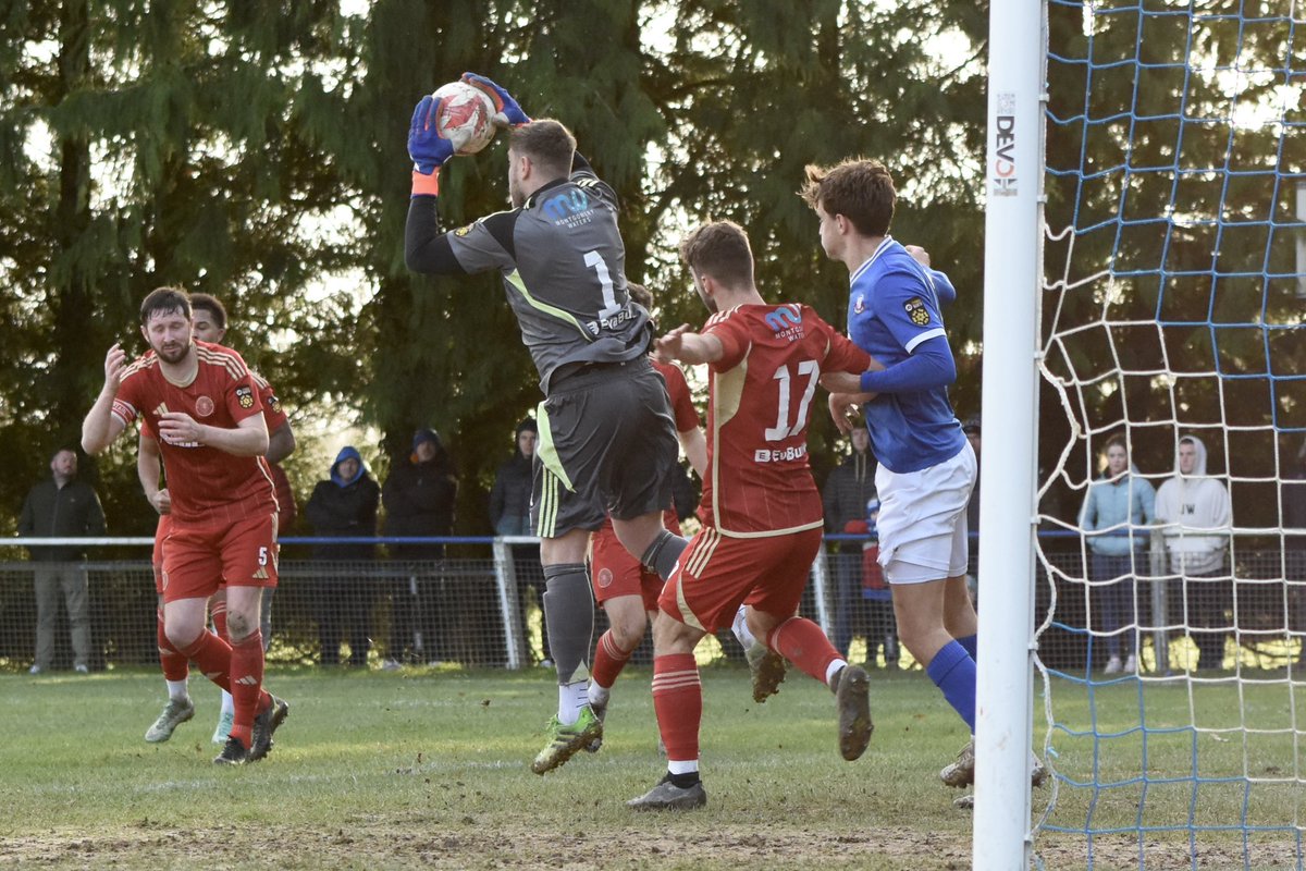 Tim Evans tweet media