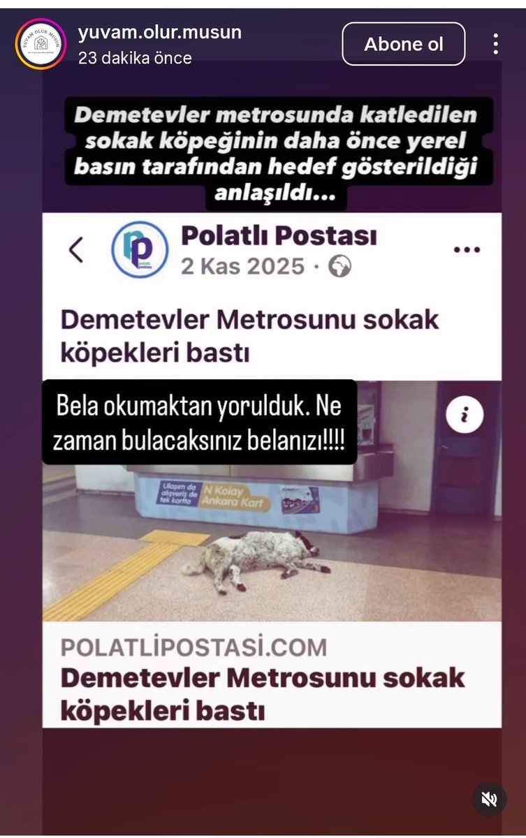 Melek Yıldız tweet media