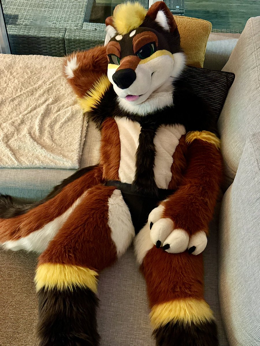 Bowie 🔜 FurDU tweet media