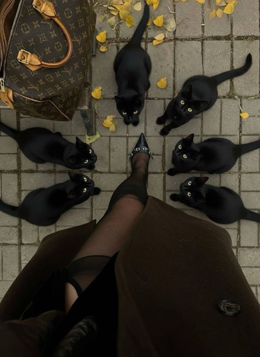 poeticalphotos's tweet image. 