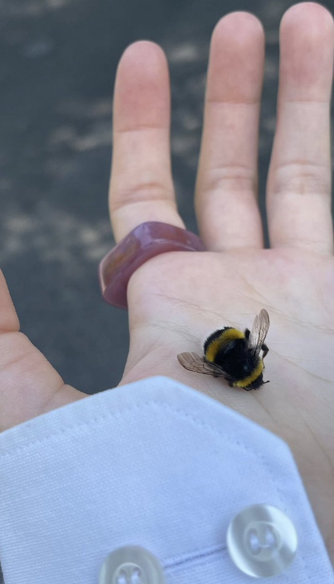 carrot514's tweet image. branding matters