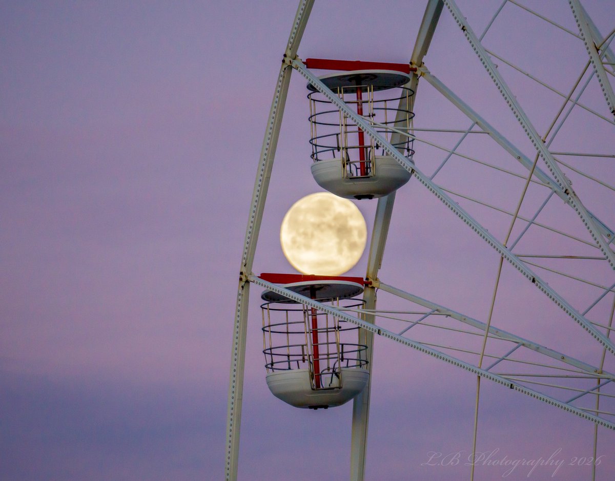 📷 L.B Photography 📷 tweet media