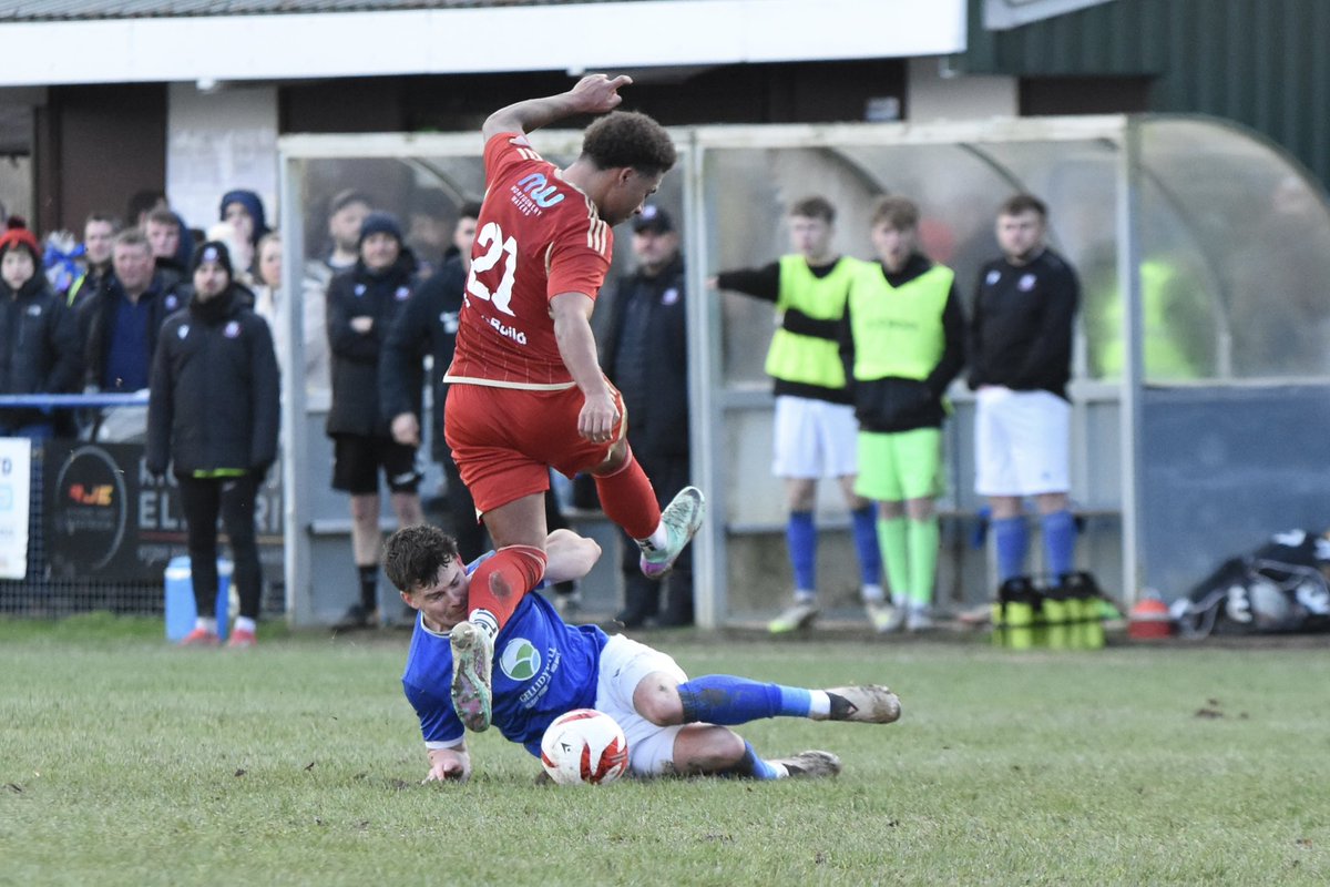 Tim Evans tweet media