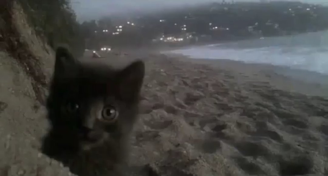 Eso (@esolandin) on Twitter photo 