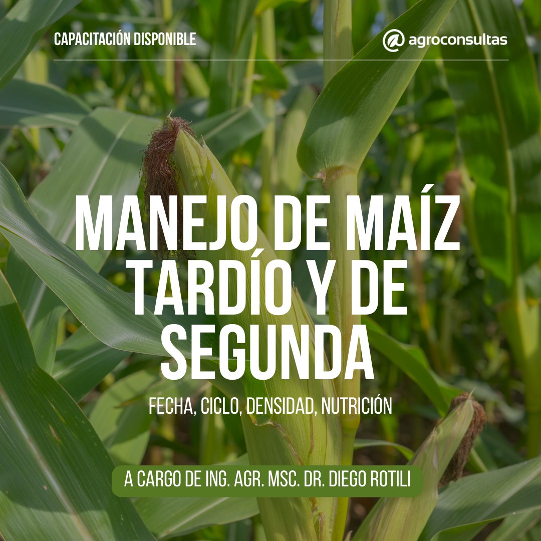Información práctica y actualizada para tomar mejores decisiones 🌾🚀

🙋‍♂️ A cargo del Ing. Agr. Dr. Diego Rotili
🌽 Manejo del maíz de segunda, analizando los principales factores que condicionan rendimiento y las decisiones necesarias para optimizarlo

👉🏻 agroconsultas.online/fFXnRO