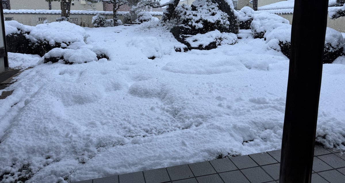 msms3303's tweet photo. 実家快適すぎて東京に帰りたくねえ。
独立開業して、実家を事務所にして仕事したいな。（10年後の夢）

なんの脈絡もなく☃️の写真。 https://t.co/jQQnZ2WDYT