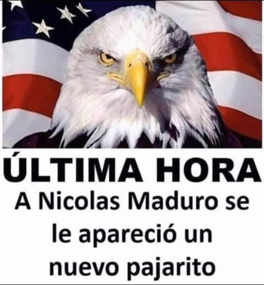 Juan José Malo tweet media