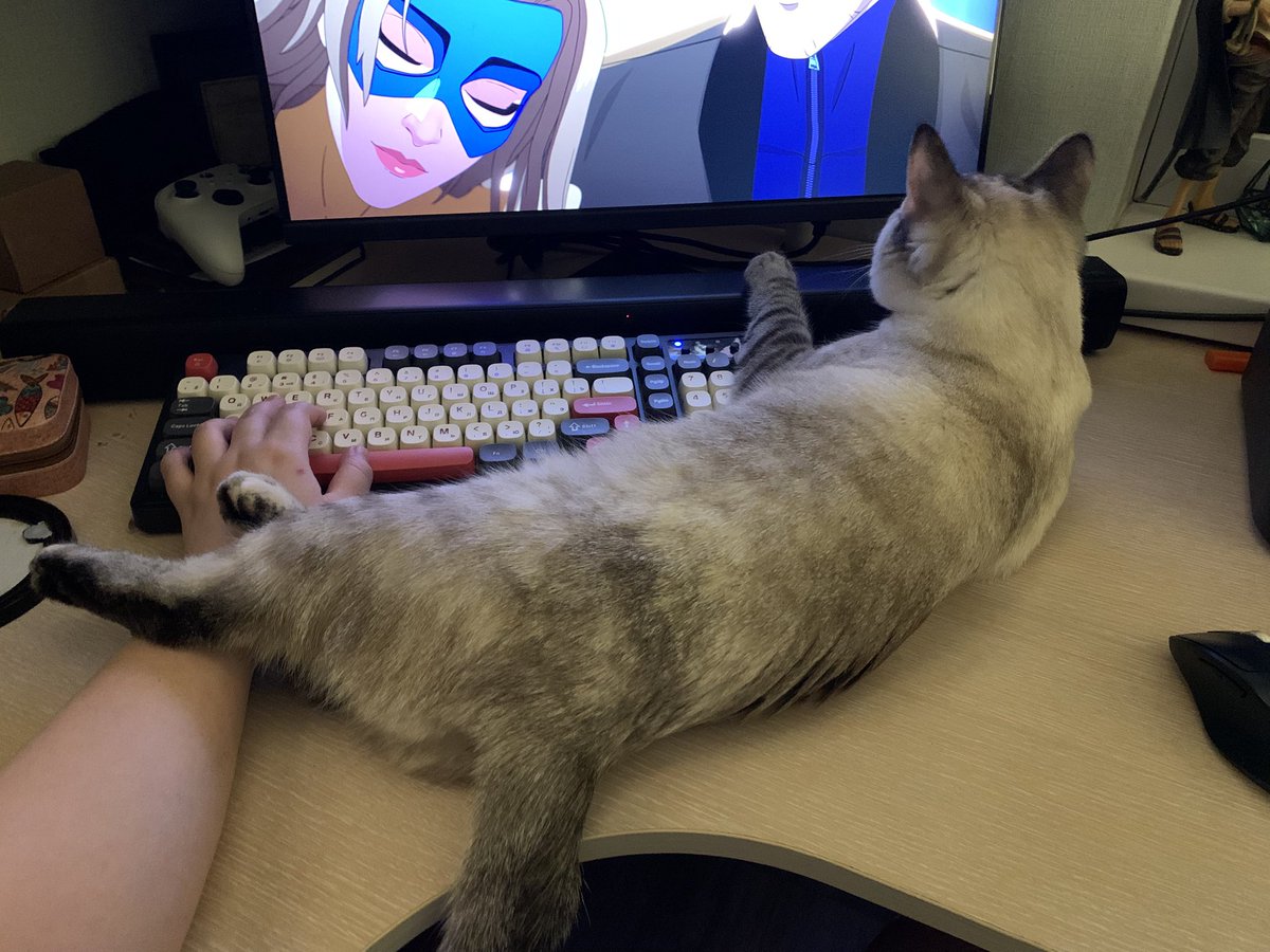 murrmason's tweet image. проходим Dispatch с большой котеночкой Сиршей (у нее свой игровой процесс — иногда жмет своими лапами что попало, по большей части лежит мурчит), уютно