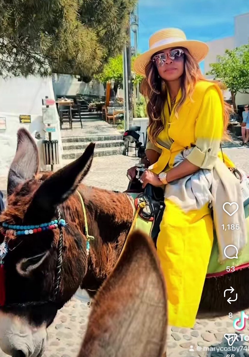 larrybirdparade (@larrybirdparade) on Twitter photo 