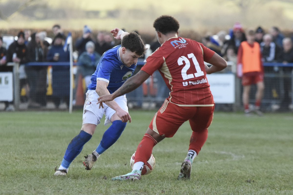 Tim Evans tweet media