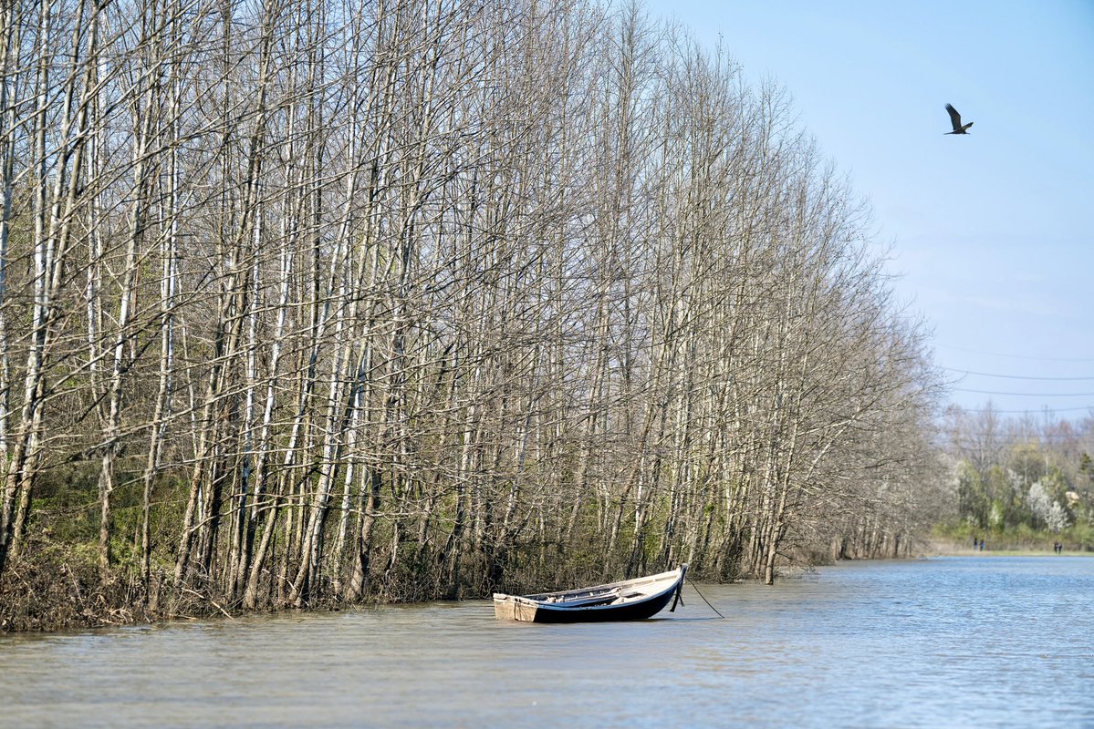 where time pauses and the sky takes flight