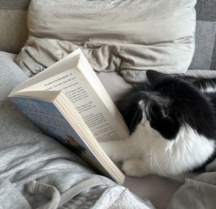 len⁷ | VA A VER A BTS 💜🇦🇷 tweet media