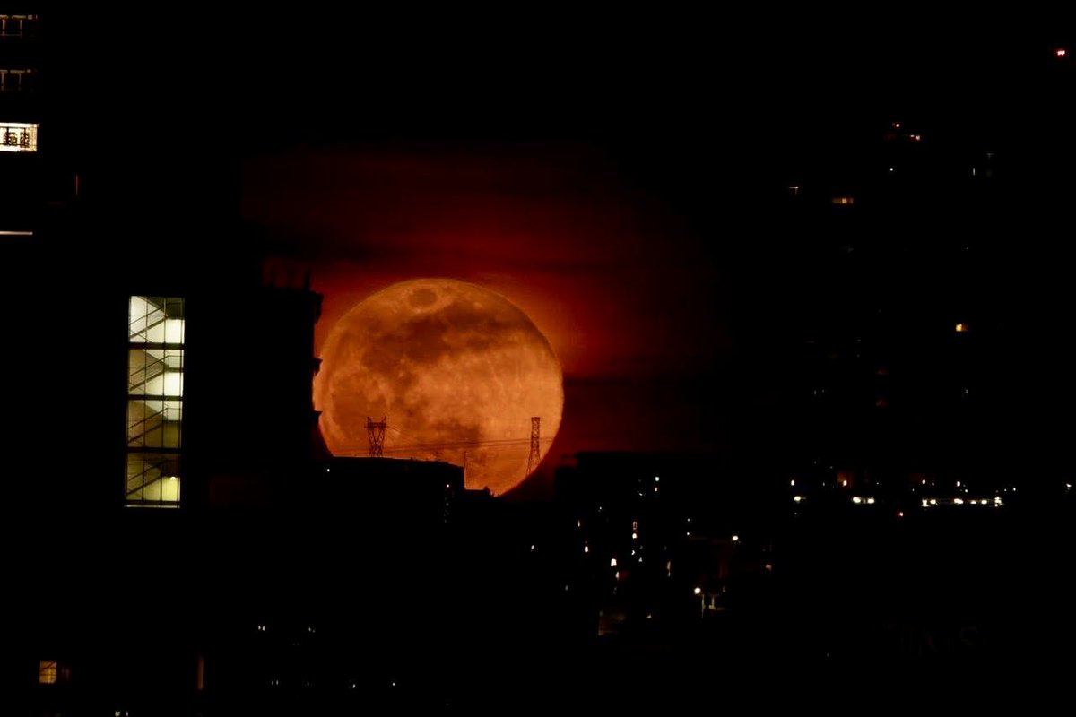 Alfonso Rivera tweet media