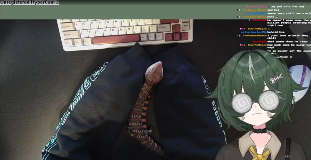 noireVT's tweet image. had a very special cold blooded guest on stream today 🫶