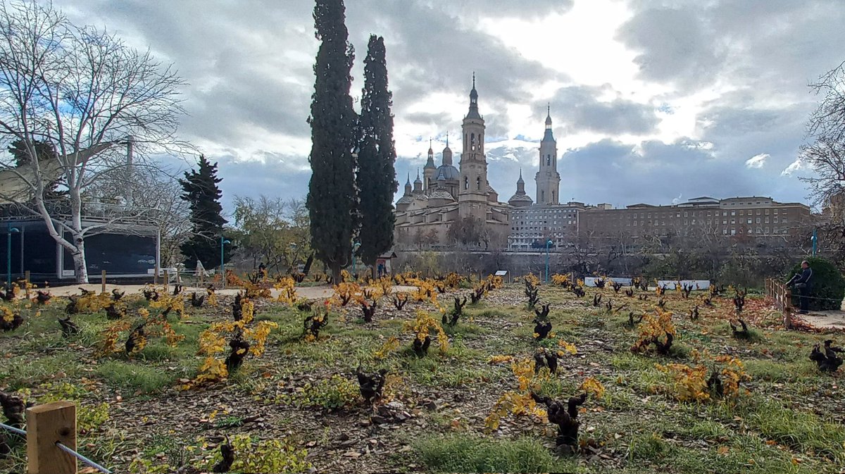 Susana Munilla Mtnez tweet media