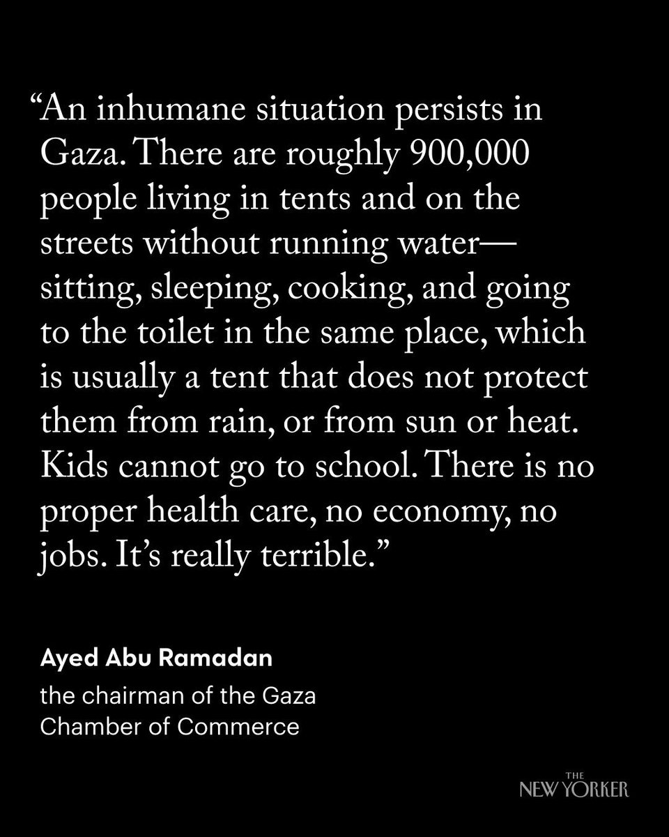 ayed621's tweet image. 