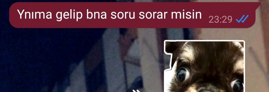 Calistiklarimizi pekistirme vakti