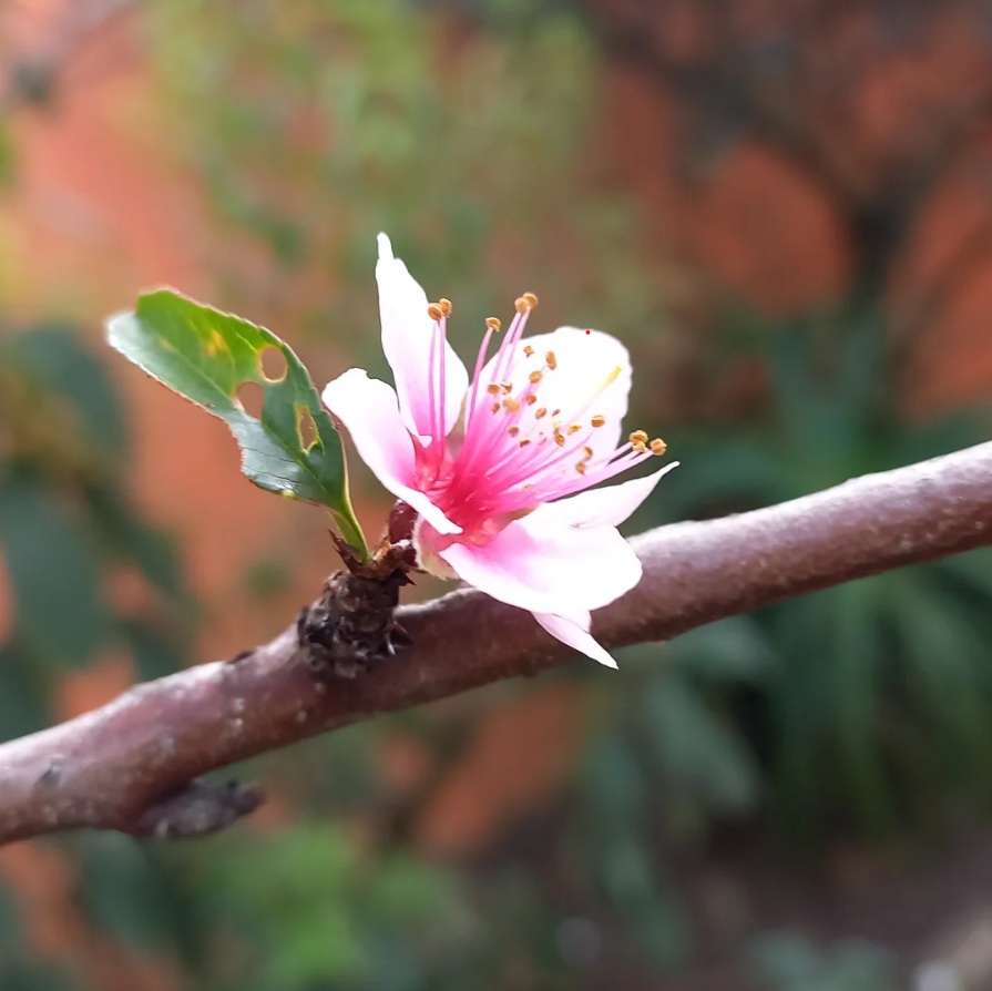 Que ojala el 2026 sea un mejor año para todos a pesar de la compleja situacion actual para muchos 🩷