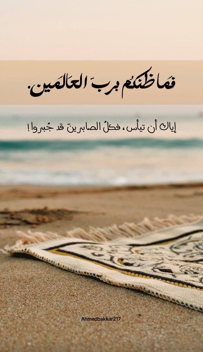 سُكُون (@ish_0x) on Twitter photo 