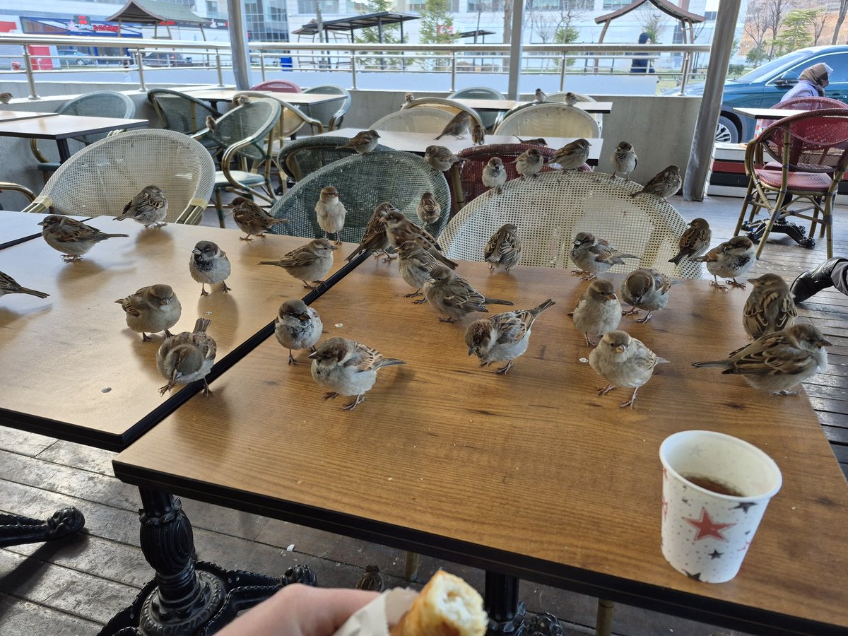 • (@purhaya) on Twitter photo 