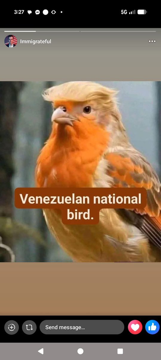 Alan Robert Booth (@robertbooth) on Twitter photo 