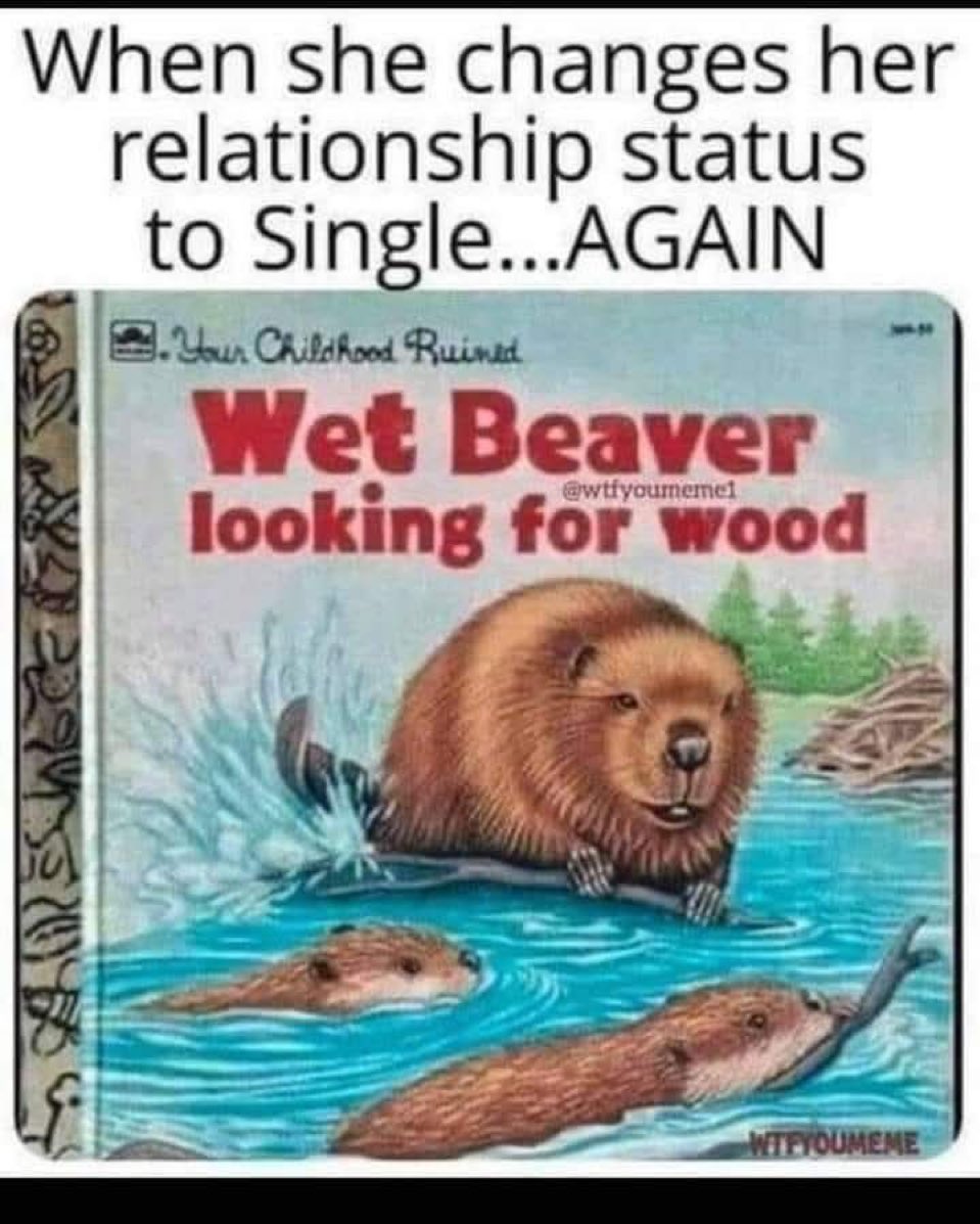 dirttracking3D's tweet image. 👀😂😂