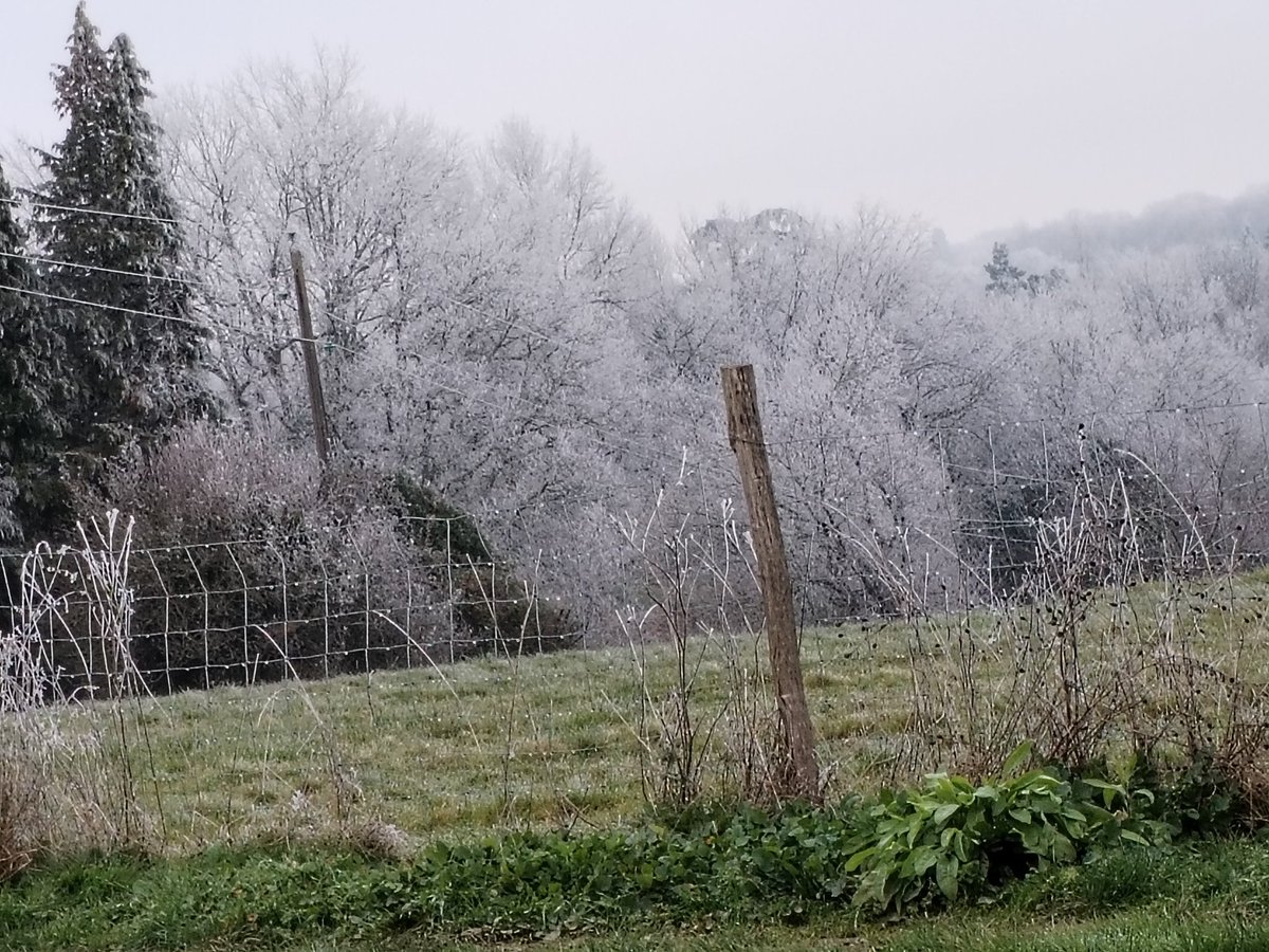 Belle et douce soirée ma TL !
! Erev Tov Akhot, Akhim 💙 
Have a nice afternoon Warriors !