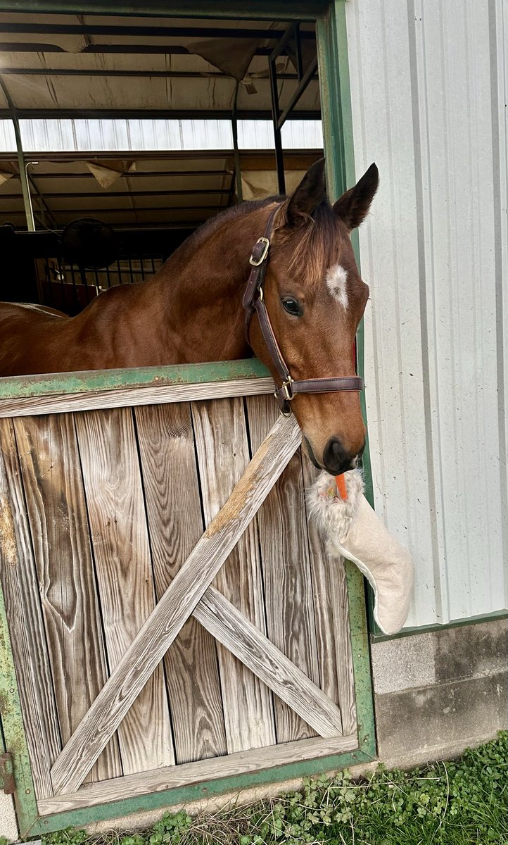 trish cruz tweet media