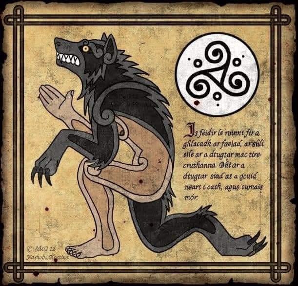 Irish werewolves, known as faoladh or conriocht, were complex figures, unlike the typical European monsters. 

Legends primarily center on the people of Ossory, who were either cursed to transform into wolves for seven years or were a lineage of shapeshifting warriors descending