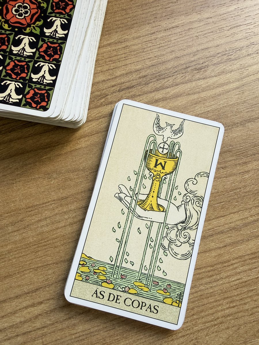 bruxocris's tweet image. ♈︎ áries • janeiro para sol e ascendente
Janeiro começa com noticias boas, viagens e fôlego financeiro. Ele abre o ano mexendo com o seu emocional de um jeito mais maduro, vem bastante noticia boa, o ano começa de um jeito diferente. Não é um mês de explosão, é um mês de…