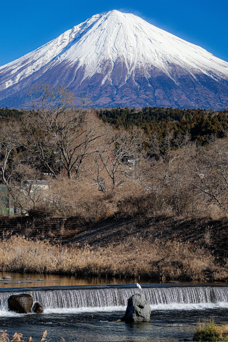 lemon🌈 🀇🀏🀐🀘🀙🀡🀆🀅🀄🀀🀁🀂🀃🀃 (@melon0000) / Posts / X