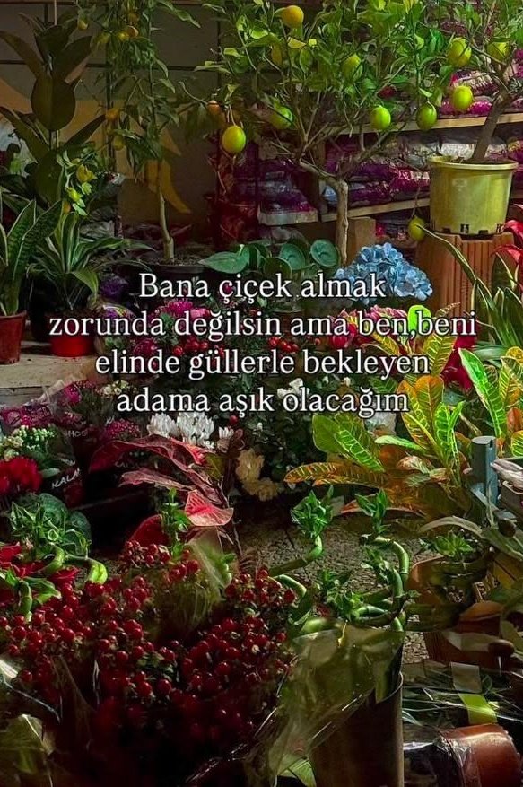 Ardıç Kuşu (@ardiskusu) on Twitter photo 