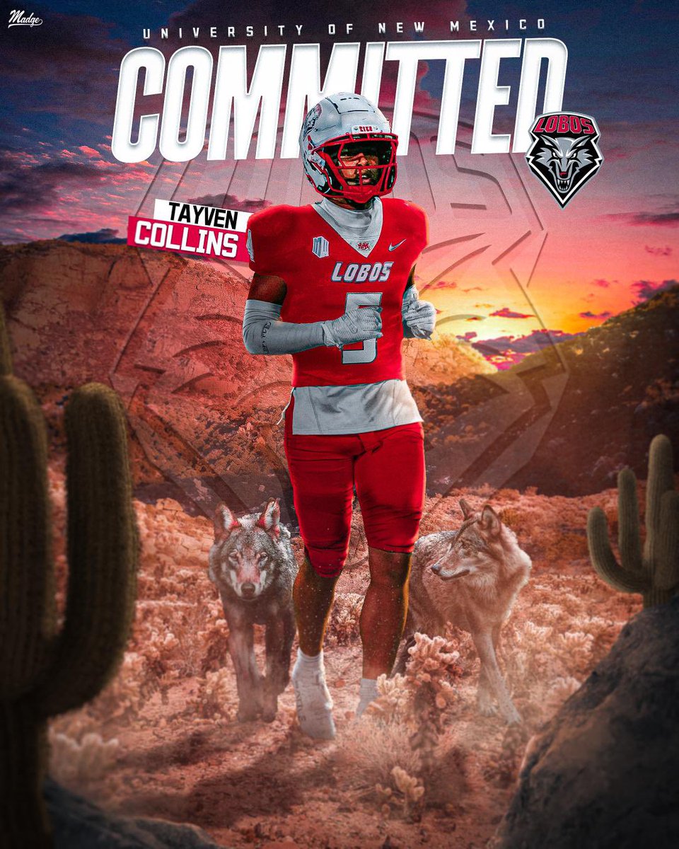 Tayven Collins tweet media