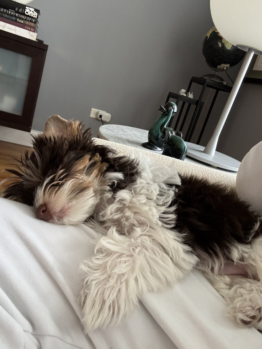 instagram.com/reel/DTGjQsWkR…