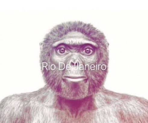 eanrw's tweet image. y’a une allemande elle m’a mis un remis dcp je lui apprend le même du singe