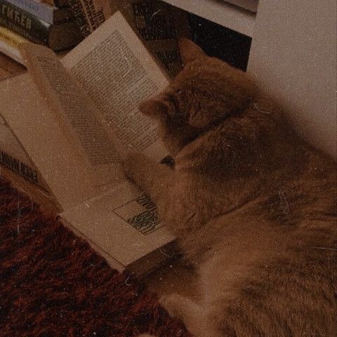 ｼ

     𝒕𝒉𝒆 𝒘𝒆𝒆𝒌 𝒐𝒇 𝒘𝒊𝒕𝒉𝒅𝒓𝒂𝒘𝒂𝒍 𝒂𝒇𝒕𝒆𝒓 𝒕𝒉𝒆 𝒉𝒐𝒍𝒊𝒅𝒂𝒚𝒔 𝒇𝒆𝒆𝒍𝒔  𝒆𝒙𝒂𝒄𝒕𝒍𝒚 𝒍𝒊𝒌𝒆 𝒕𝒉𝒊𝒔