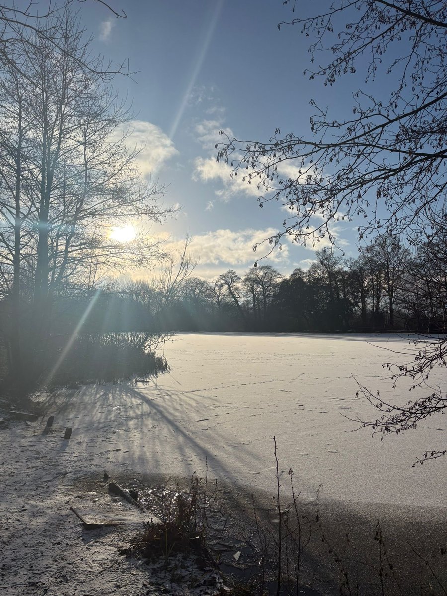 Anne-Marie Gallogly💙 tweet media