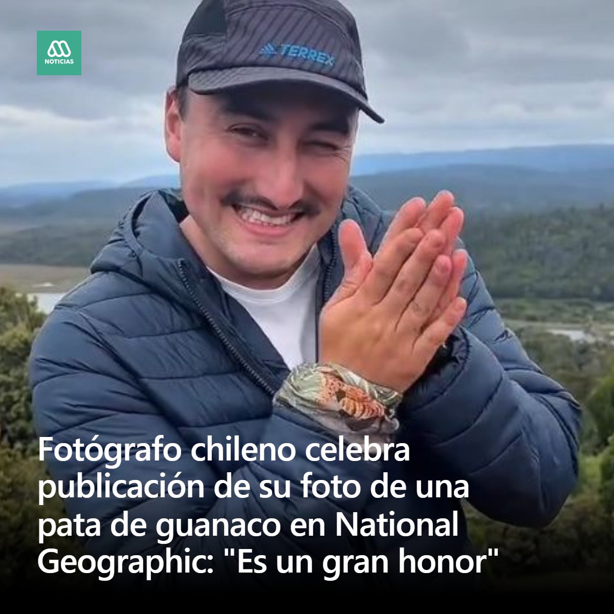 Meganoticias tweet media