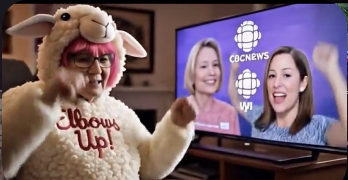 Buy New Brunswick tweet media