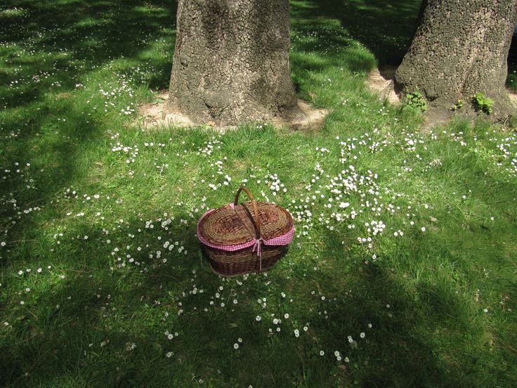 ᅠ ᅠ (@greendreaams) on Twitter photo 