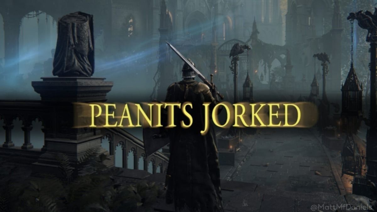 equine__dentist's tweet image. plans for today