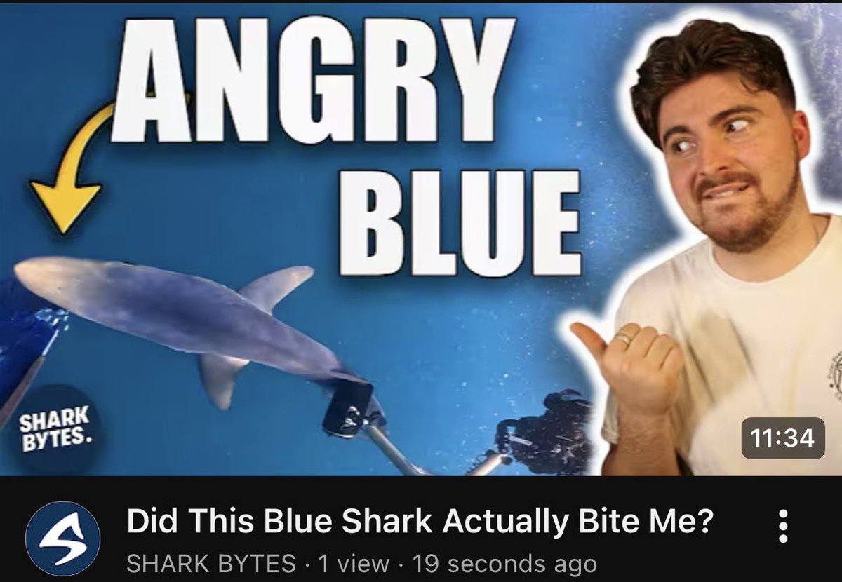 BRAND NEW #SHARKBYTES OUT NOW! Some of you might have seen in the last video I had a run in with a blue shark last summer - well come and watch me break down exactly what happened via the Shark Bytes homepage here: youtube.com/@sharkbytes?si…