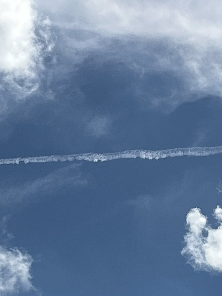 LRINTJ1's tweet image. I take a break from posting everyday in order to avoid HIGH BLOOD PRESSURE!!! Stop poisoning our planet !#WEDONOTCONSENT