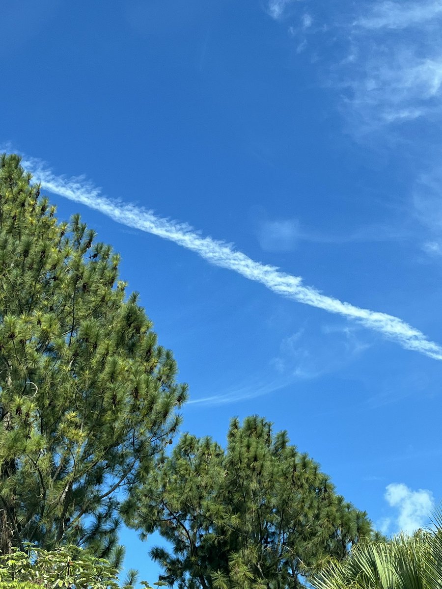 LRINTJ1's tweet image. I take a break from posting everyday in order to avoid HIGH BLOOD PRESSURE!!! Stop poisoning our planet !#WEDONOTCONSENT