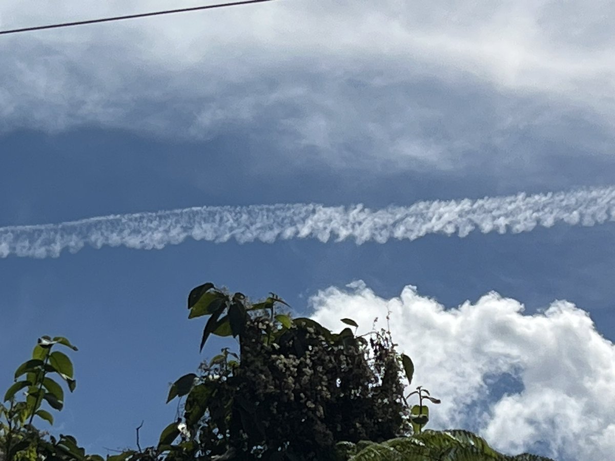 LRINTJ1's tweet image. I take a break from posting everyday in order to avoid HIGH BLOOD PRESSURE!!! Stop poisoning our planet !#WEDONOTCONSENT